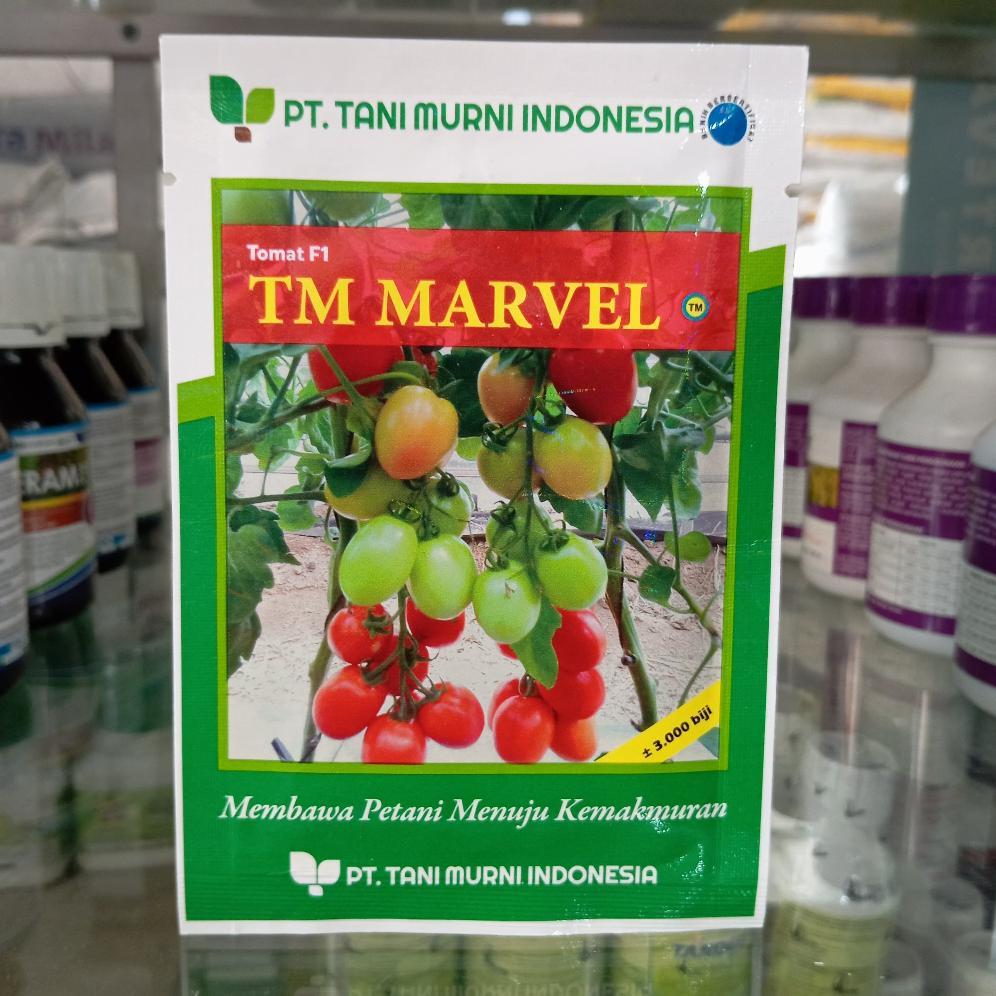 Benih tomat TM MARVEL F1 +- 3000 biji