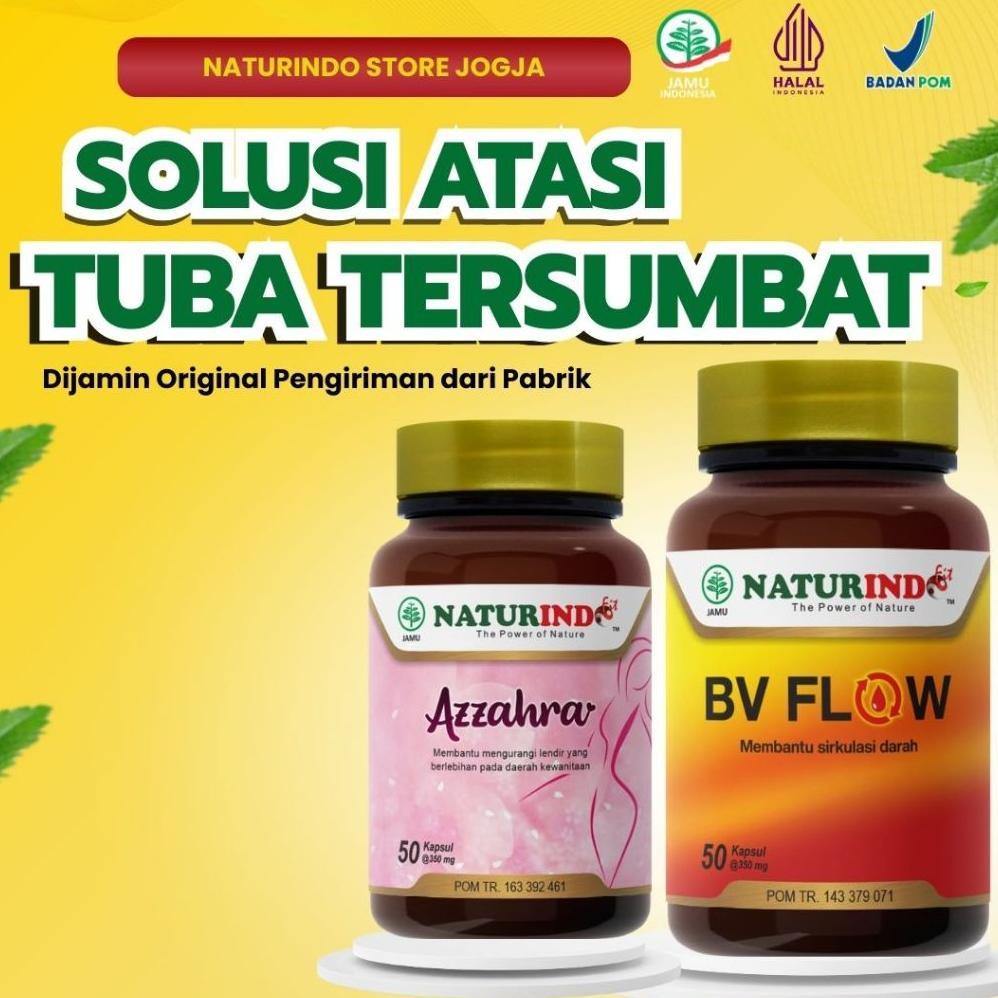 Tuba Falopi Tersumbat Hidrosalping Penyumbatan Saluran Tuba Fallopi Non-Paten Herbal