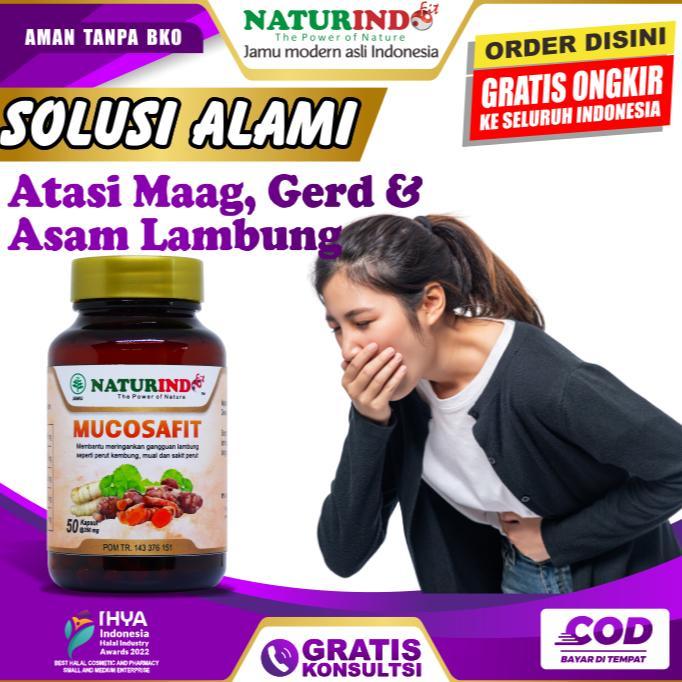MUCOSAFIT ASAM LAMBUNG HERBAL ASAM LAMBUNG MAAG GERD HERBAL NATURINDO