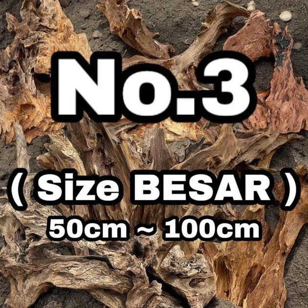 Bahan KAYU RENTEK BESAR, Panjang 50-100cm Bahan Hiasan Aquarium / Aquascape / Aviary / Reptil / Medi