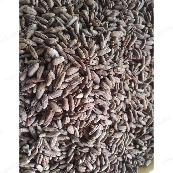 Biji Kurma kering 1kg