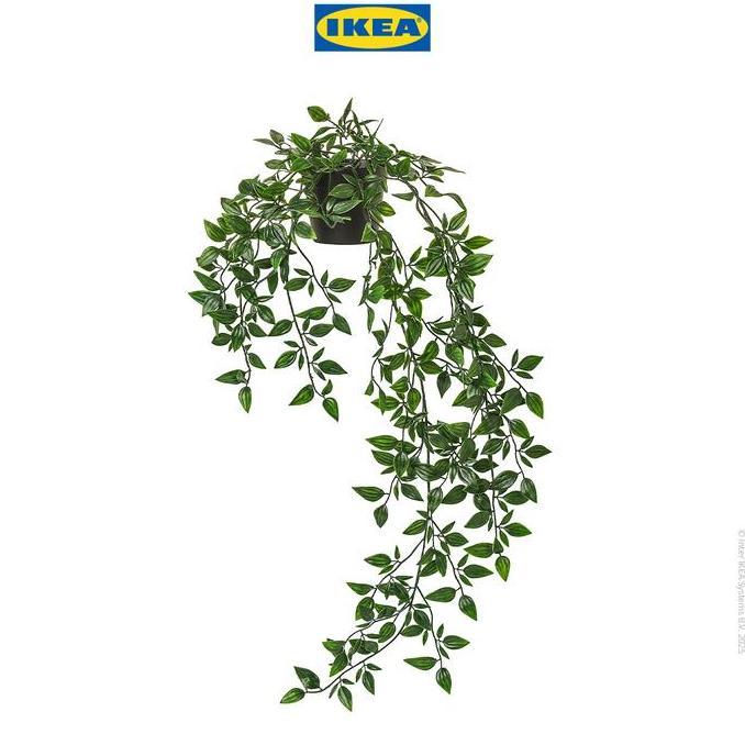 IKEA FEJKA Tanaman Hias Gantung dengan Pot 9 cm