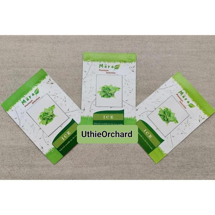 Mara Premium Selection - Benih Crystalline Ice Plant (Ice Lettuce) Ice 100 seeds