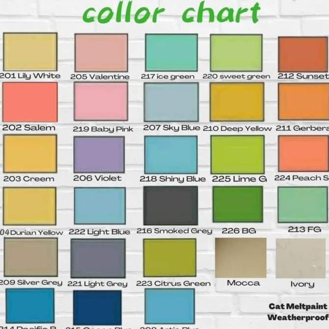 Cat Meltpaint Weatherproof 20kg Original 100%