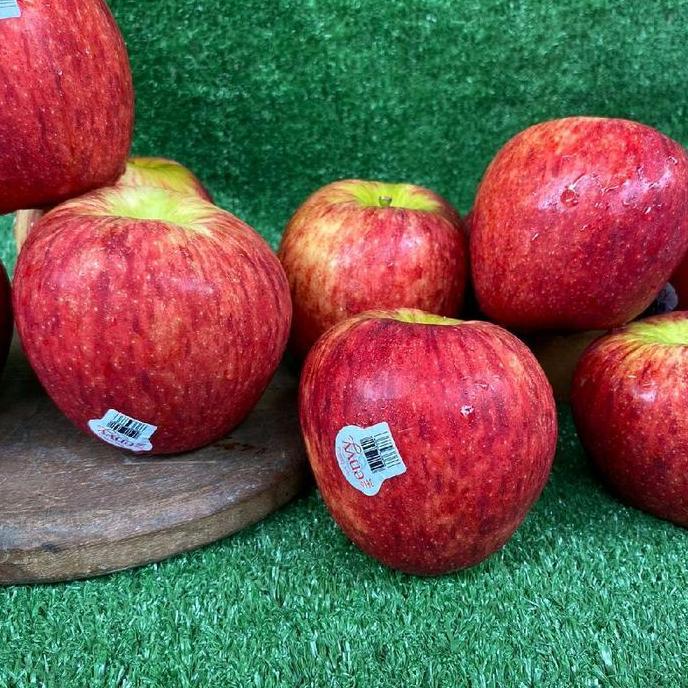 Frutting- Apel Envy New Zealand / Envy Apple