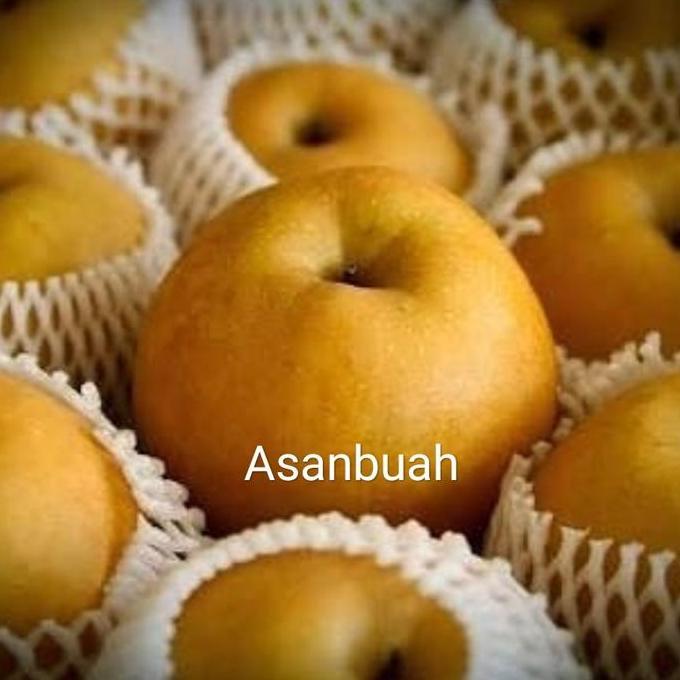 Frutting- Pear Singo Korea Premium / Ons Asli Pir Coklat Ys Sk Organic Seokwang