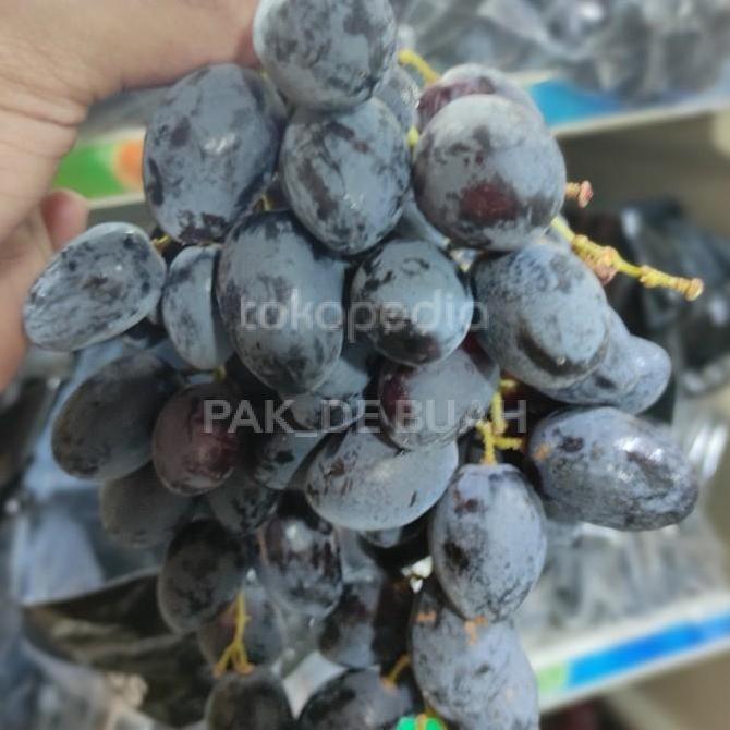 Frutting- Anggur Hitam Autumn Royal Australia / 500Gram