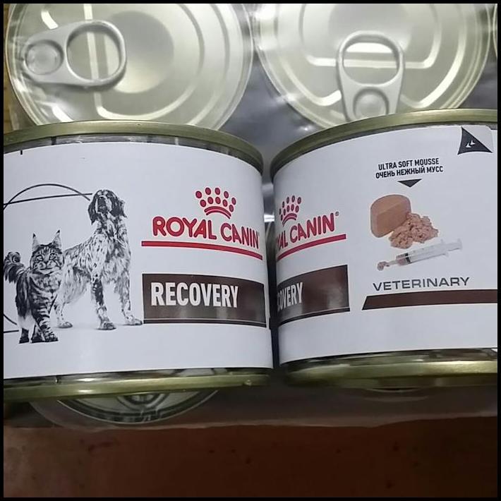 PROMO GROSIR Royal Canin Vet Recovery 195 Gram