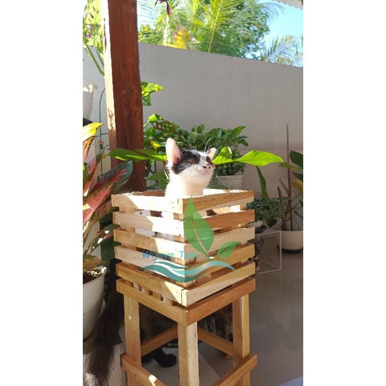 Ready Pot Anggrek Gramma 20x20x50 | Pot Anggrek Kayu Jati Oven | Rak Anggrek Kayu Jati