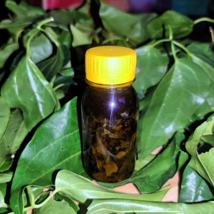 minyak lint4h campur minyak daun bungkus ASLI-ROTAN keras besar pnjang