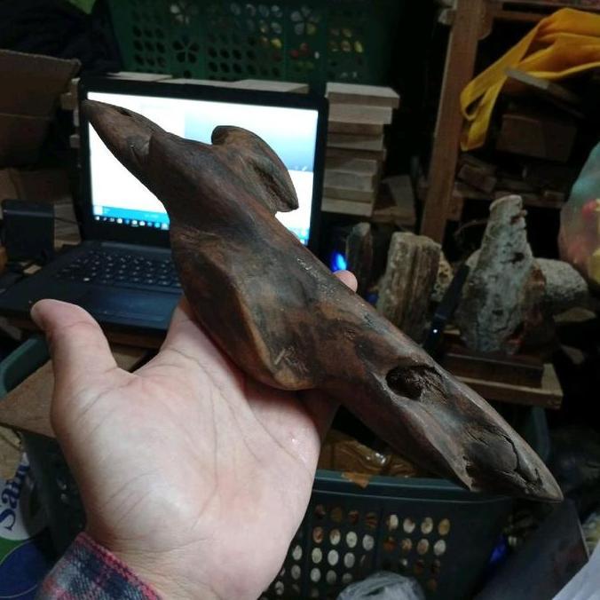 kayu gaharu ramin Kalimantan tenggelam unik