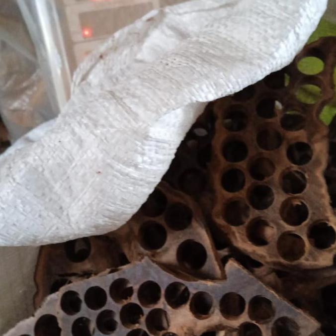 kayu gaharu grade a kayu gaharu super asli kalimantan