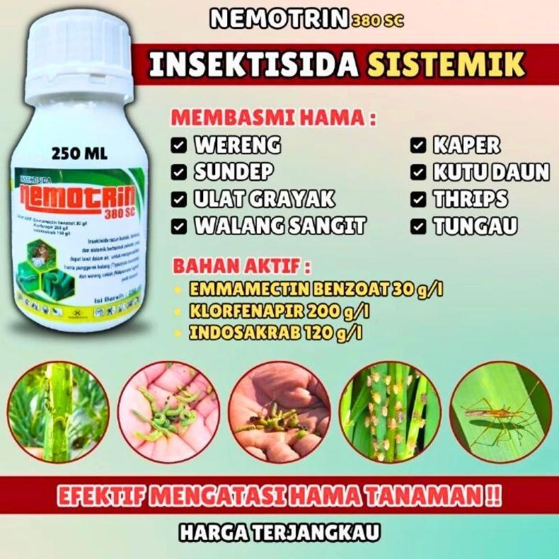 Bisa Cod Nemotrin Insektisida 380 Sc |250 Ml| Pembasmi Hama Gulma Rumput Liar Padi Racun Ulat Paling