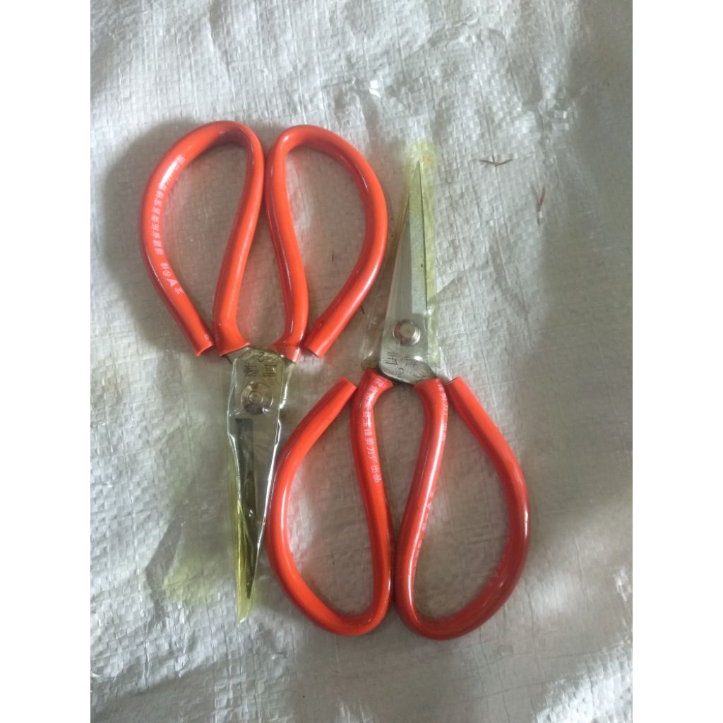 gunting kodok, gunting kain besar