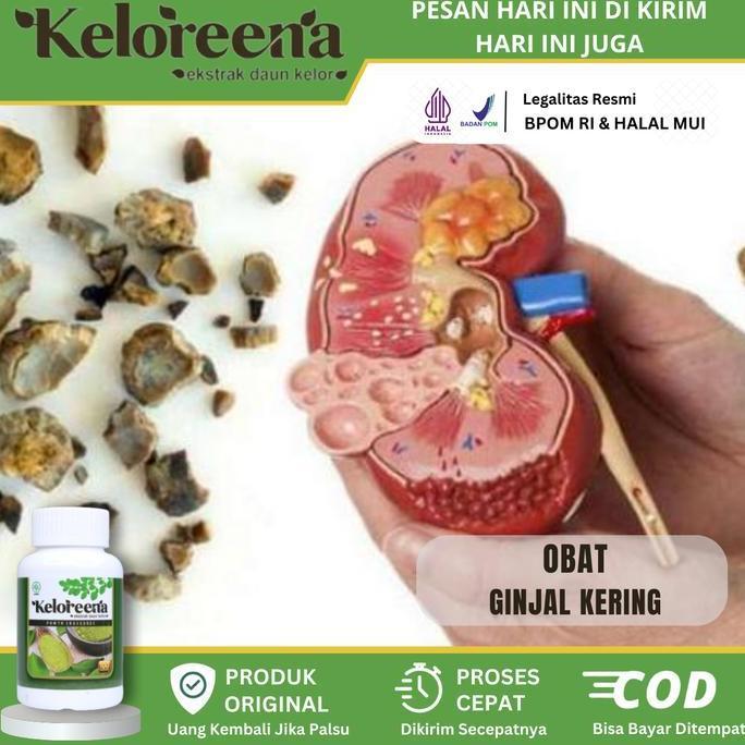Keloreena Untuk Ginjal Kering - Gagal Ginjal - Nyeri Ginjal - Penyakit Ginjal - Ginjal Kotor - Ginja