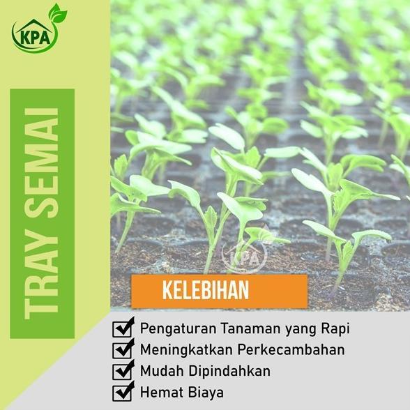 Bisa Cod Tray Semai / Pot Tray / Tempat Penyemain Benih (50, 72, 128, 200 Lubang ) ><
