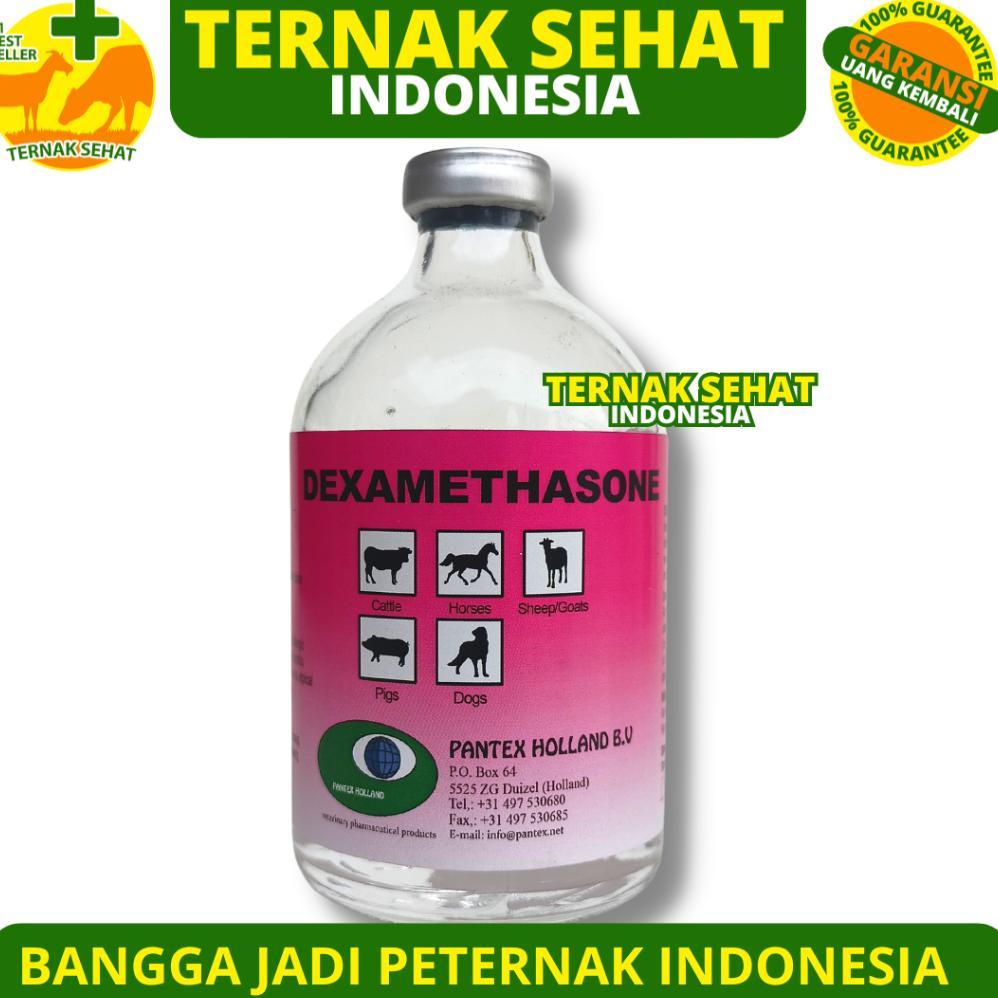 PANTEX DEXAMETHASON 100 ML - Pantex Holland - Obat Anti Inflamasi Hewan Ternak - Dexa 100 ml - Obat 