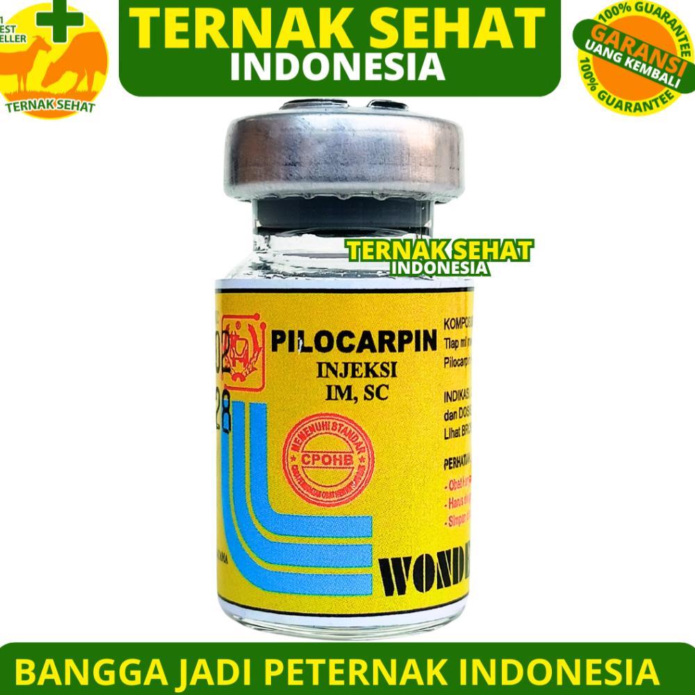 PILOCARPIN INJ 5ML WONDER - Obat Kembung Hewan & Kolik Sapi Kuda Kambing Domba Anjing Kucing