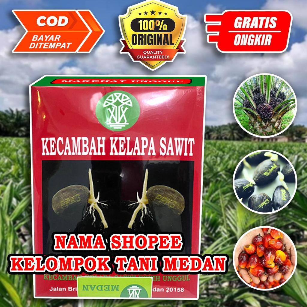 Ppks Dxp Marihat Super Unggul Memiliki Sertifikat