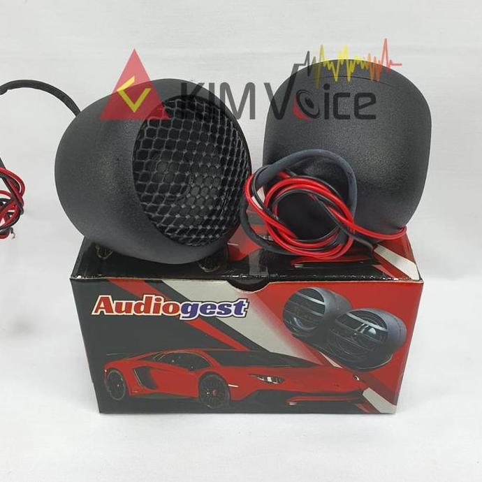 Speaker Fullrange Audiogest 2 inch Fullrange Celavin Design