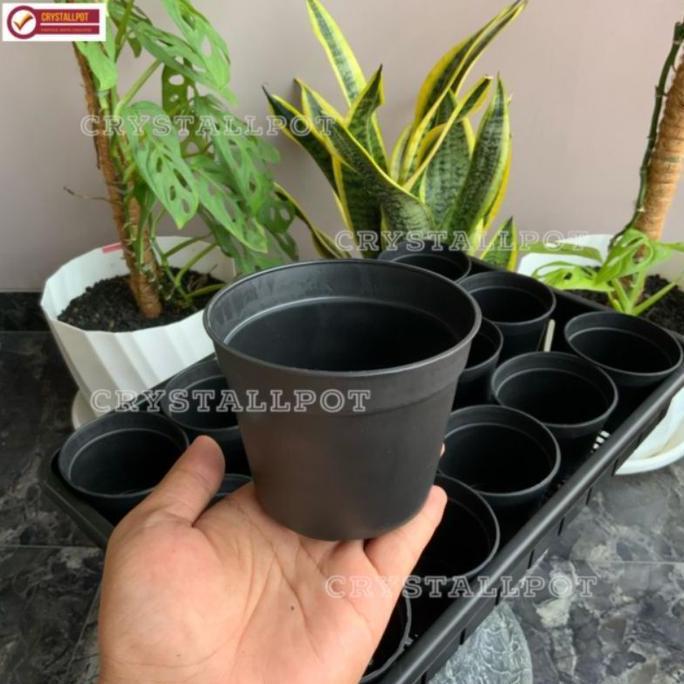 Grdx- 1 Set Tray + 15 Pcs Pot Hitam 10Cm | Tray Pot Nkt 50Cm | Tray Semai Bibit