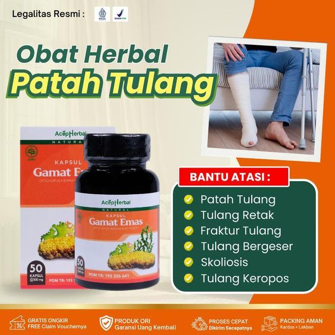 Kapsul Gamat Emas Suplemen Untuk Patah Tulang, Tulang Retak, Fraktur Tulang, Patah Tulang Kaki, Pata