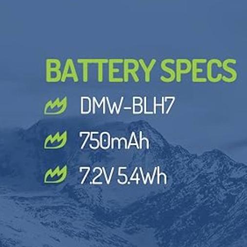 TERMURAH - WASABI POWER Battery & Charger for Panasonic DMW-BLH7 DMW-BLH7E DMW BLH7 BLH7E Lumix DC G