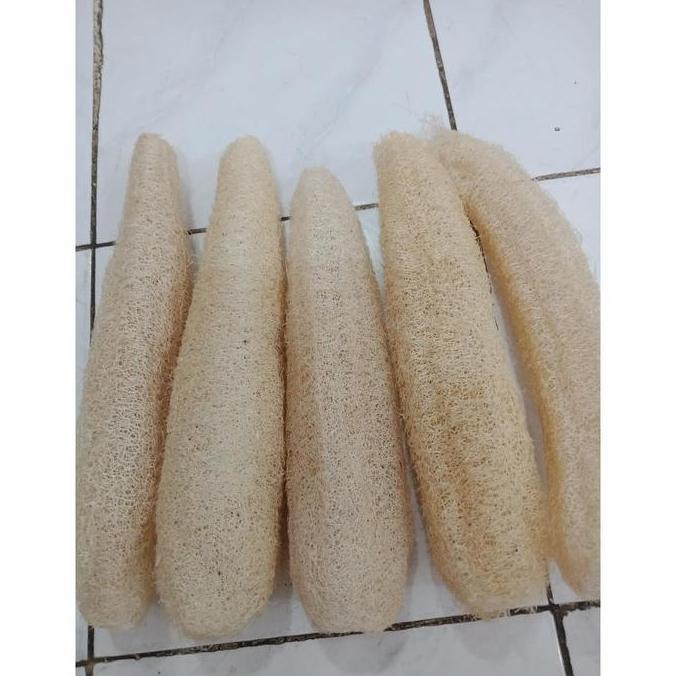 Washyt- Sabut Oyong / Sabut Cuci Piring / Sikat Oyong / Gambas Ukuran Besar (Panjang +-30Cm