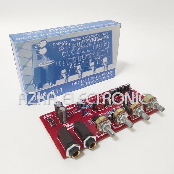 Kit Digital Echo Repeater Plus Music Input DMS 614