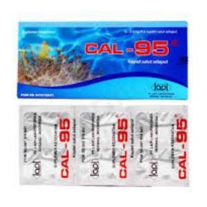 Cal-95 Suplemen Kesehatan dengan Coral Calcium & Soy isoflavone