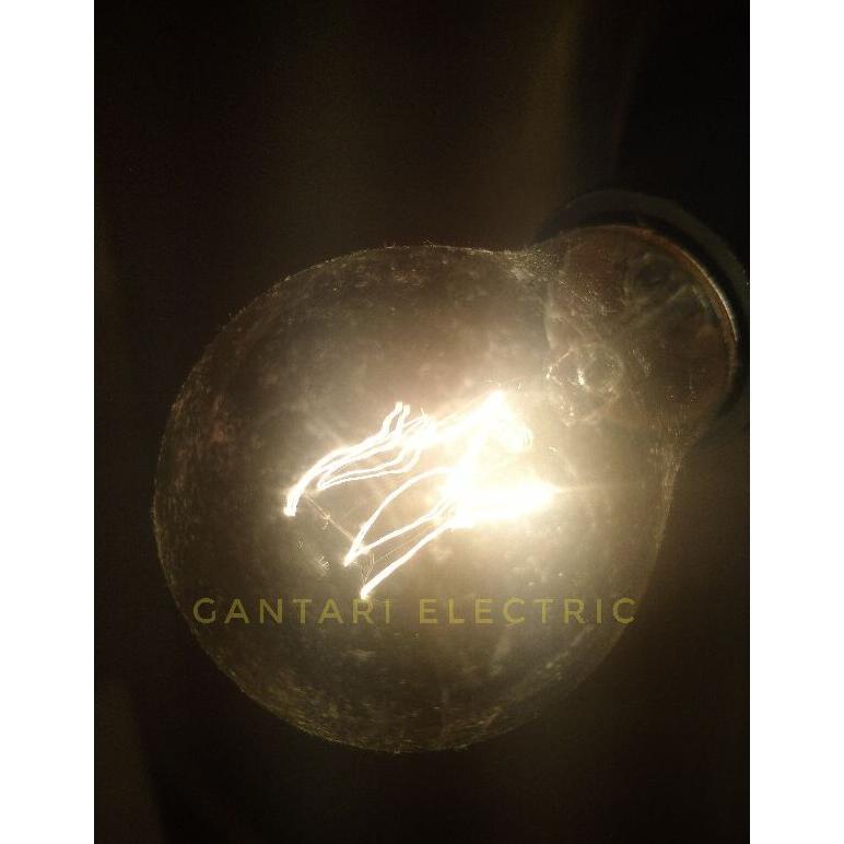 NEW PROMO Lampu Penghangat Ayam Bohlam/Pijar Electra 5 -100 Watt Electra