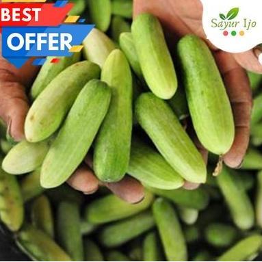 Bnbx- Timun Lalap 1 Kg Fresh Baby Cucumber Mentimun Sayur Hijau Segar