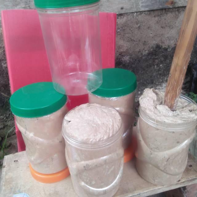 Umpan Kucur Ryan Fernandez 1 Kg