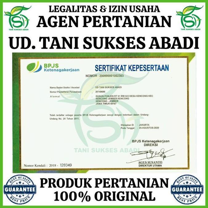 Benih Bawang Merah Lokananta 10 gram - Bibit Unggul Cap Panah Merah