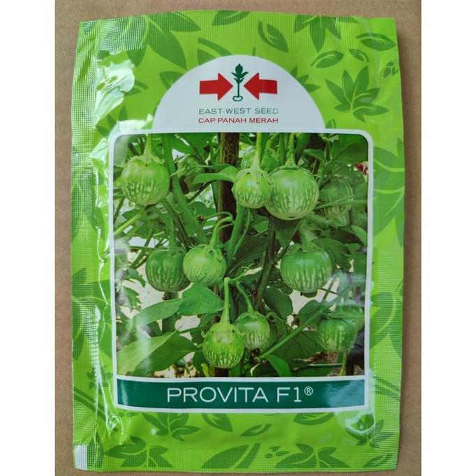 Benih Terong Lalap PROVITA F1 1100 Biji - Bibit Cap Panah Merah