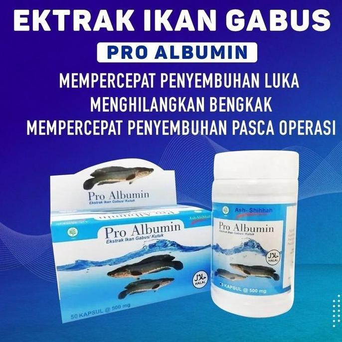 Tersedia PRO ALBUMIN EKSTRAK IKAN GABUS 50 KAPSUL - Obat Pra Operasi | PRO ALBUMIN OBAT LUKA