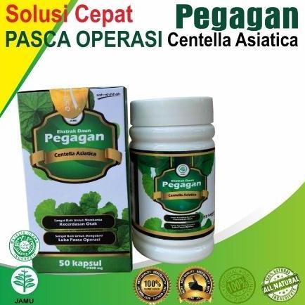 Tersedia Kapsul Ekstrak Daun Pegagan / Antanan Ash-Shihhah