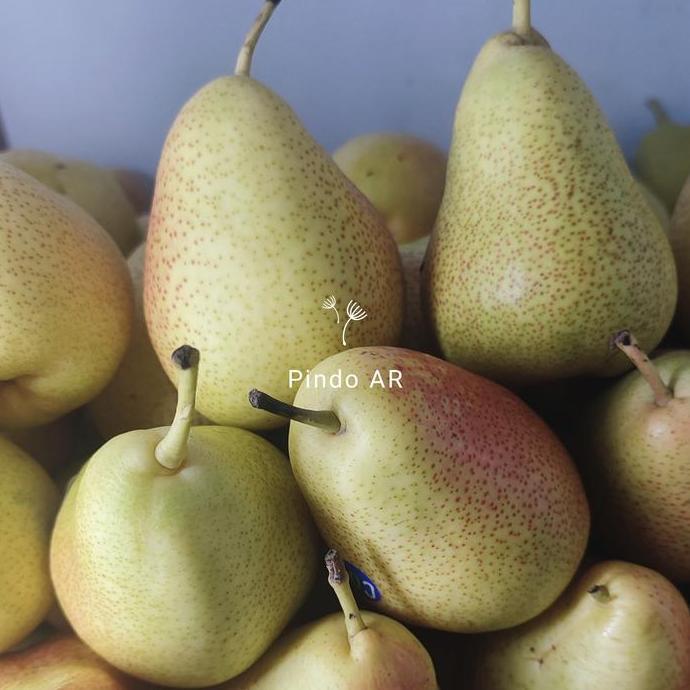 BUAH PEAR FORELLE FORELI AFRICA