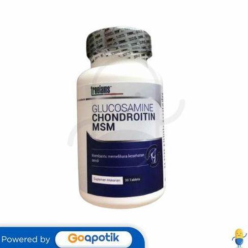 TREELAINS GLUCOSAMINE CHONDROITIN MSM BOTOL 30