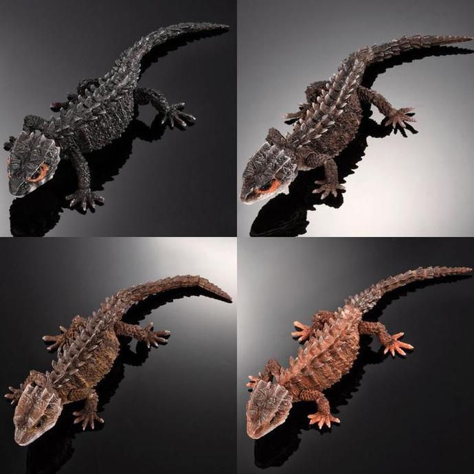 IKIMONO Tribolonotus / Crocodile skink (TERBAIK) (TERBARU) (TERMURAH)