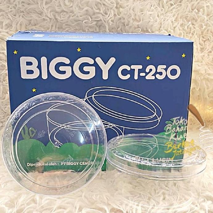 BIGGY : CT250 TOPLES MIKA NASTAR KUE KERING 500 GR CT 250 (12BH)