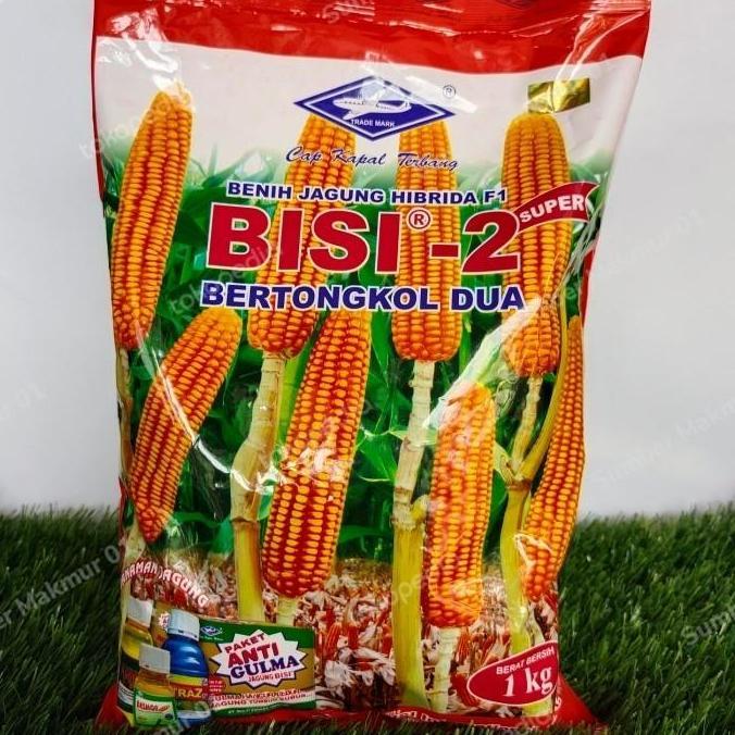 BENIH JAGUNG SUPER HIBRIDA BISI 2 BERTONGKOL 2