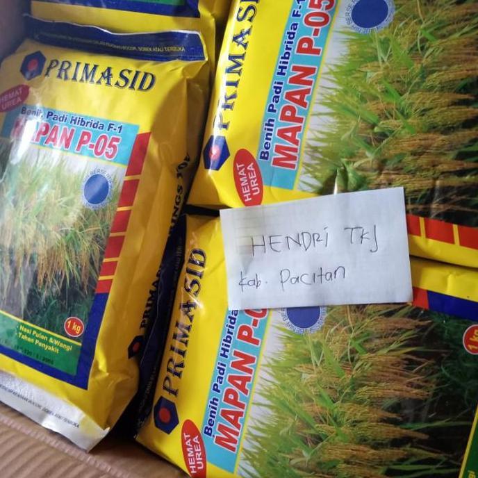 benih padi mapan 05
