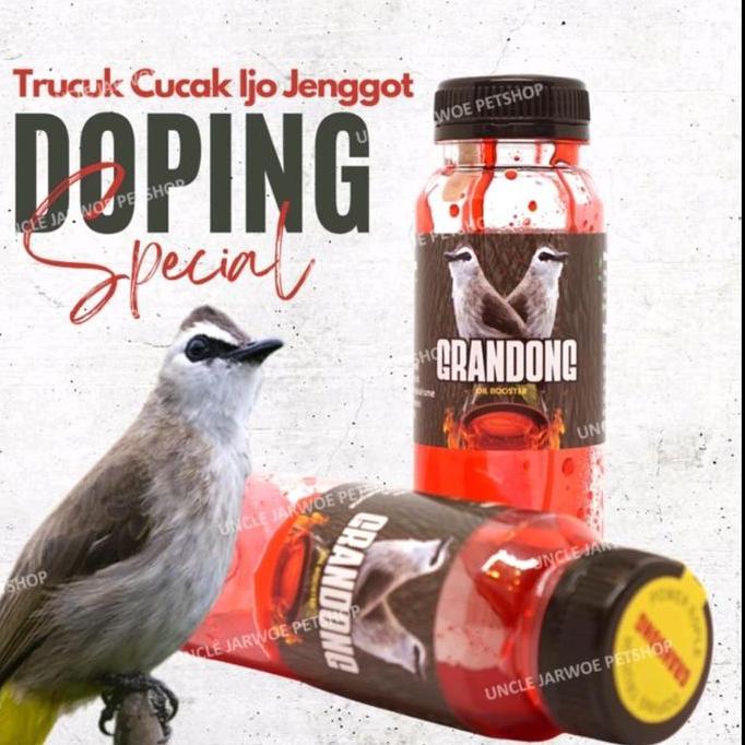 Kicaudor- Grandong  Vitamin Penggacor Burung Trucukan