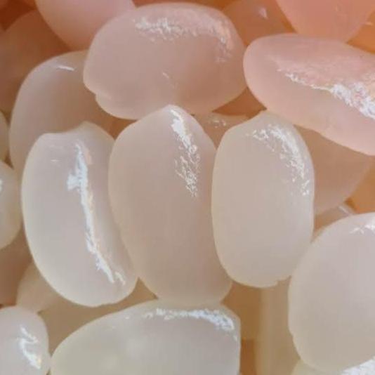 Foodx- Kolang Kaling Super Jumbo