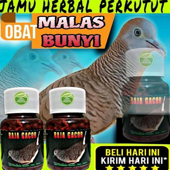 Kicaudor- Jamu Perkutut Raja Gacor Extra Isi 100 Pil Penggacor Kutut Jago Manggung Bocor Super Gacor