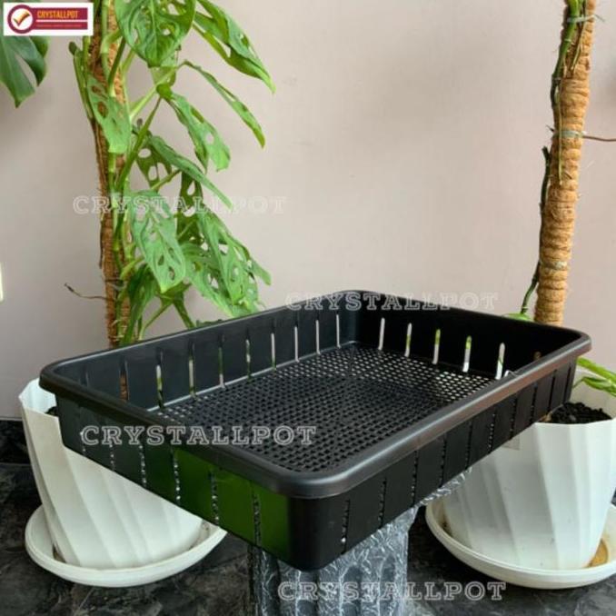 Parkx- Tray Pot Untuk Semai Bibit Hidroponik 50Cm - Tray Pot Nkt 50Cm