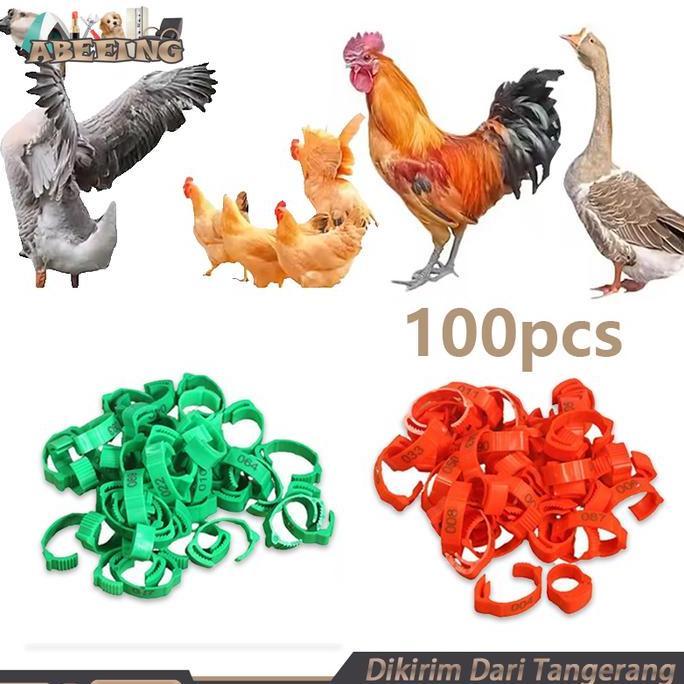 SYAUBAN Isi 100 Gelang Ayam Unggas Gelang Kaki Anak Ayam Ring Gelang Kaki Ayam Gelang Ayam Segel Kak