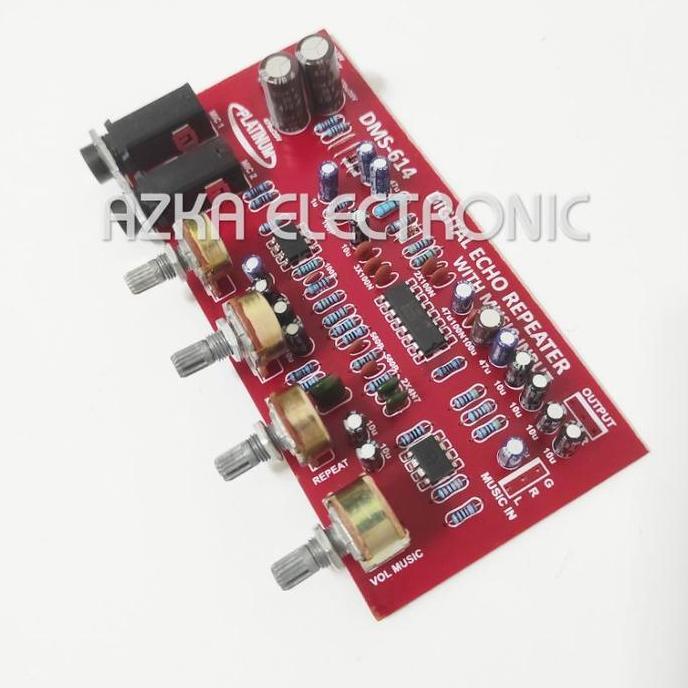Kit Digital Echo Repeater Plus Music Input DMS 614