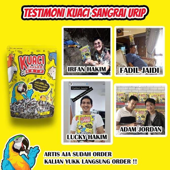 Dbutsu- Kuaci Sangrai Super Jumbo Untuk Burung Kakatua Macaw Afgrey Amazon